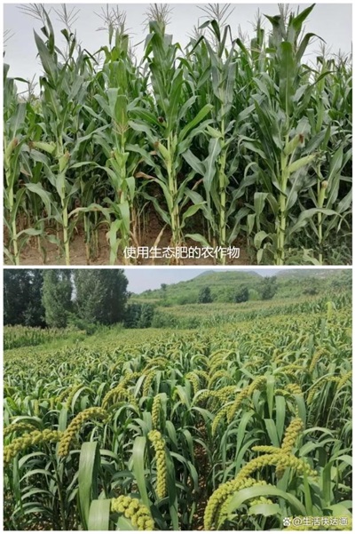 辽宁省建昌县立体循环农业领头人——郑文林