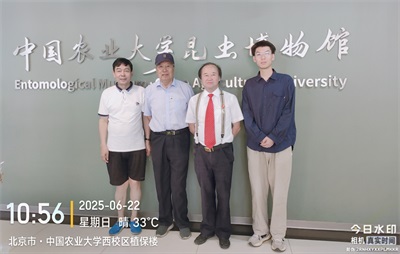 《 元素的原子结构及其物理和化学性质 》