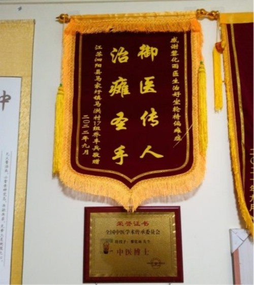 党旗下的大国医者——黎化雨