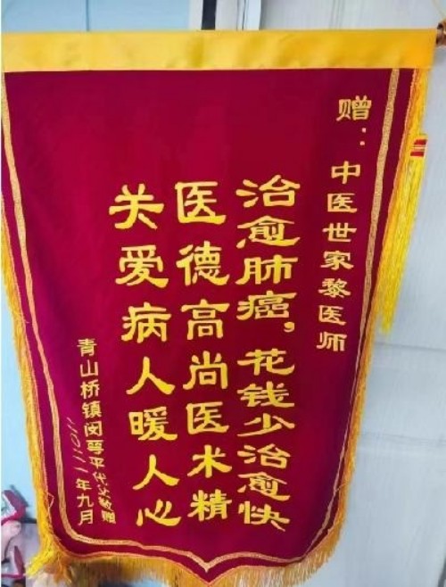 党旗下的大国医者——黎化雨