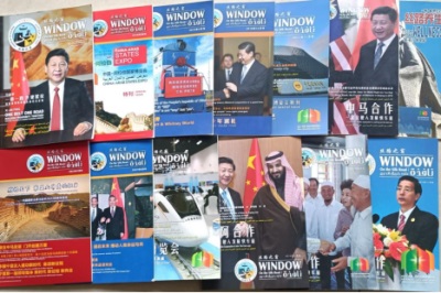 无形的镣铐： 当“民间大使”的仁心折翼于故土之困