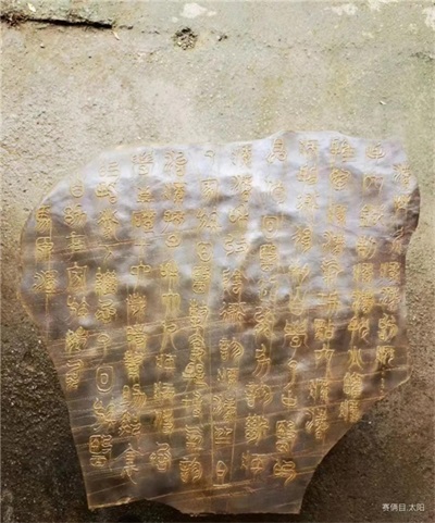 世界中医药联合会   传统医学博士——  马忠义院长