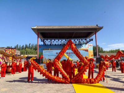 河套平原麦浪涌 临河区开启丰收盛景