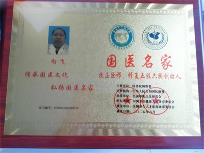 关于《五脏六腑》修复之十