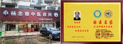 高手在民间广西百色杨忠雅