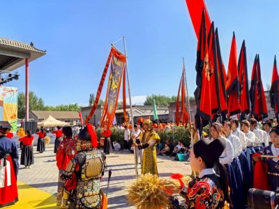 河套平原麦浪涌 临河区开启丰收盛景