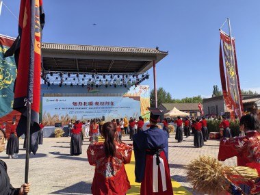 河套平原麦浪涌 临河区开启丰收盛景