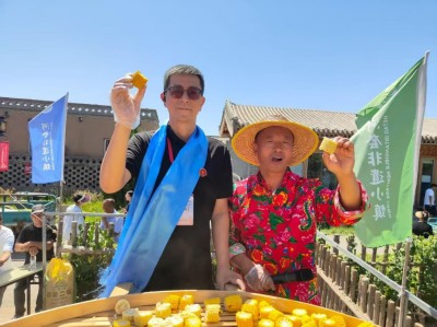 河套平原麦浪涌 临河区开启丰收盛景