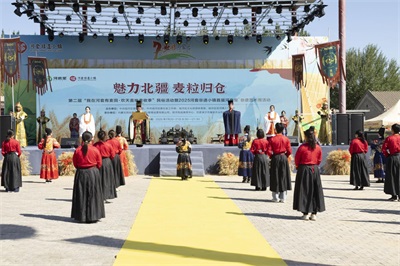 金色麦浪里的文化盛宴 ：河套非遗小镇艺术节书写乡村振兴新篇章