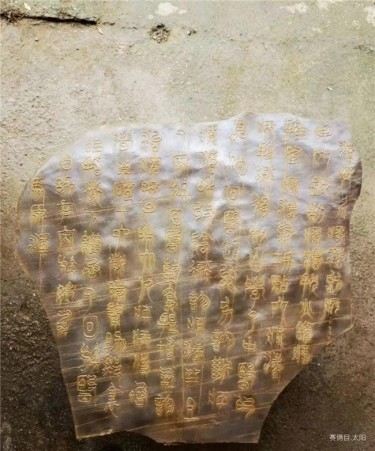 世界中医药联合会   传统医学博士  ——马忠义院长