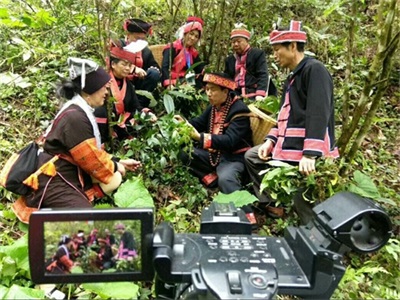 金秀瑶族灯草灸疗法 瑶医药非物质文化遗产传承人---赵衷民