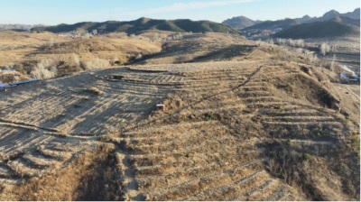 庆祝中国人民抗日战争胜利80周年 改革先锋——郑文林