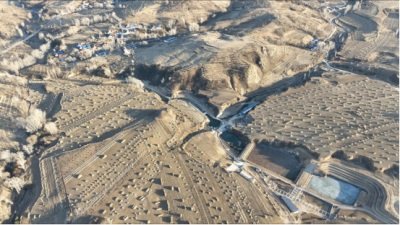 庆祝中国人民抗日战争胜利80周年 改革先锋——郑文林