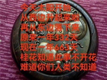 世界 中医药联合会 传统医学博士  ——  马忠义院长