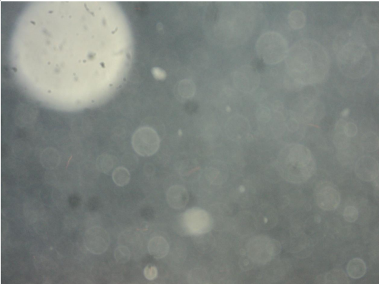 堕胎婴灵为什么一定要超度走？--净空法师|明旺法师告诉你堕胎婴儿一定要超度走|西安超度阴灵的地方