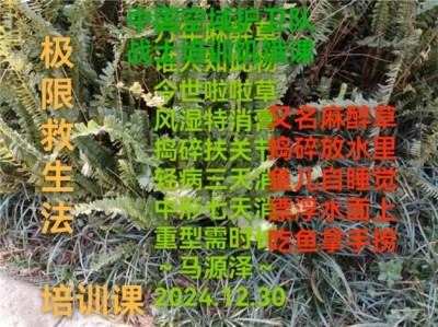 世界中医药联合会 传统医学博士——马忠义院长　　　