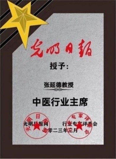 民族复兴的人民功臣——张延德 和光同尘张延德觉者