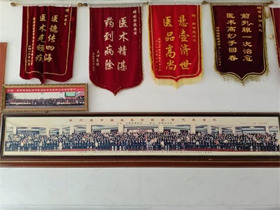 中国著名中医——田书庭