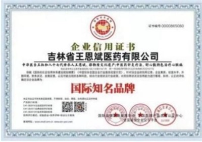 2026喜迎元旦非凡人物专题报道 中华医圣王叔和第八十七代传承人——王恩斌