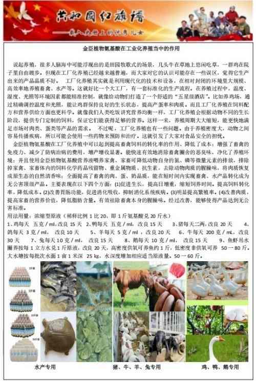 喜迎2026元旦人物贺岁特别报道 优秀企业家——金凤章