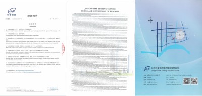 道医脉络学现代疗法创始人——杨忠