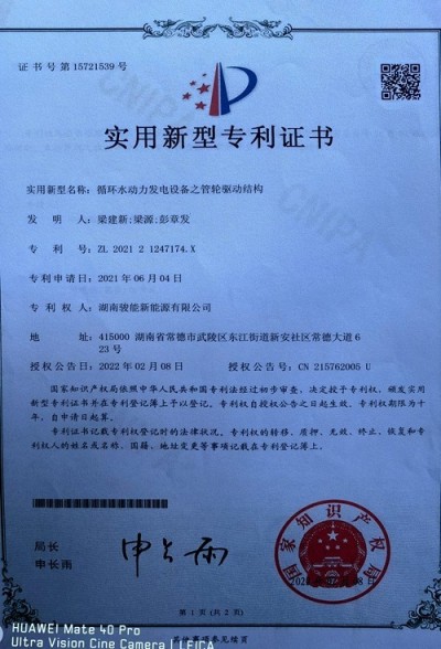 林伏明：领军新能源科技，擘画湖南骏能绿色发展蓝图