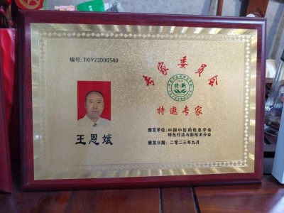 中华医圣王叔和第八十七代传承王恩斌