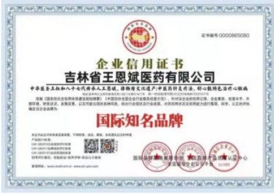 中华医圣王叔和第八十七代传承王恩斌