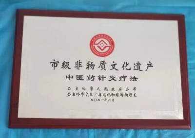 中华医圣王叔和第八十七代传承王恩斌