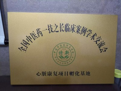 中华医圣王叔和第八十七代传承王恩斌