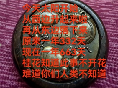 世界中医药联合会 传统医学博士——-马忠义院长