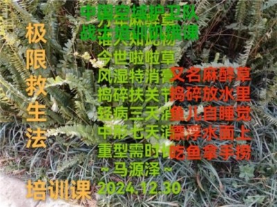 民族医（回）学是世界的医学  世界中医药联合会传统医学博士——马忠义院长