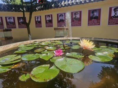 重庆市 江津区50多位党员干部莅临 荣昌区清流红色故居爱国主义教育基地